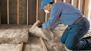 Best Soundproof Insulation  in Manchester, IA